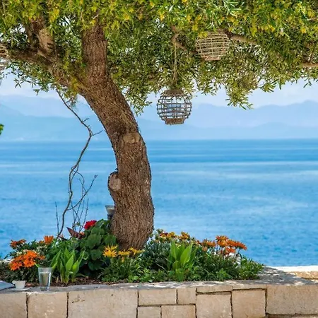 Sea View With Pool Gaios